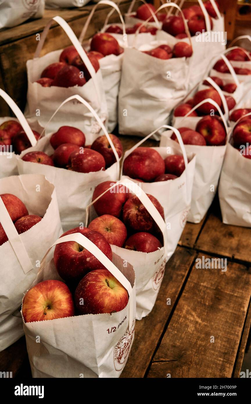 Red delicious apples in bags on a country store shelf in a large farm market in apple country in Ellijay Georgia, USA. Stock Photo