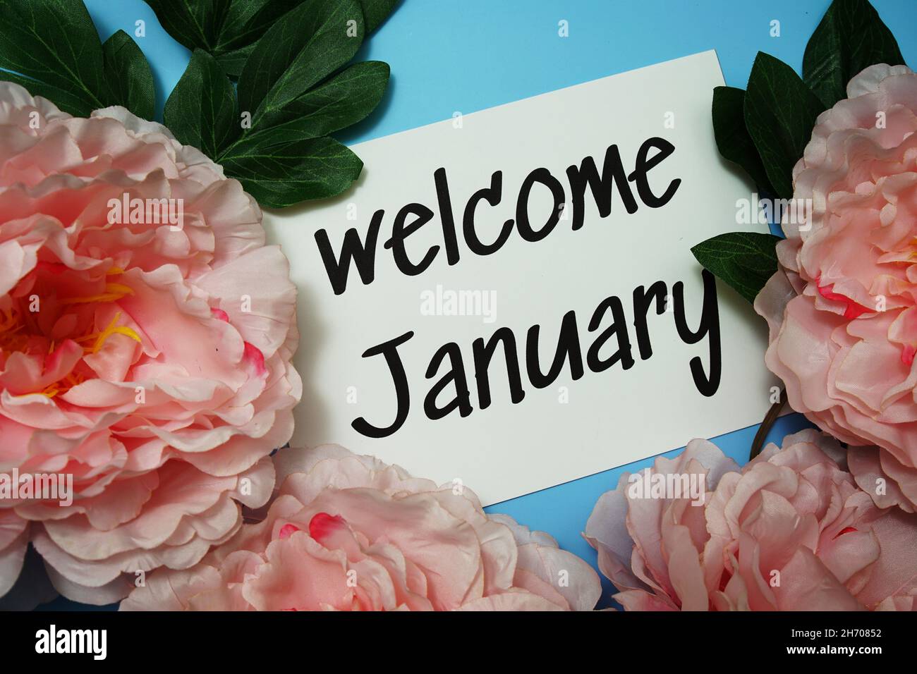 January typography text with peony flowers on blue background