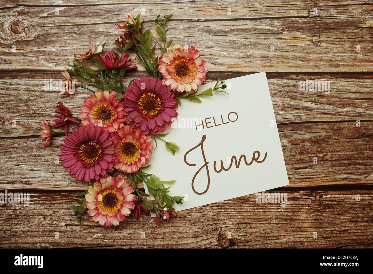 Hello June typography text with flowers on wooden background Stock