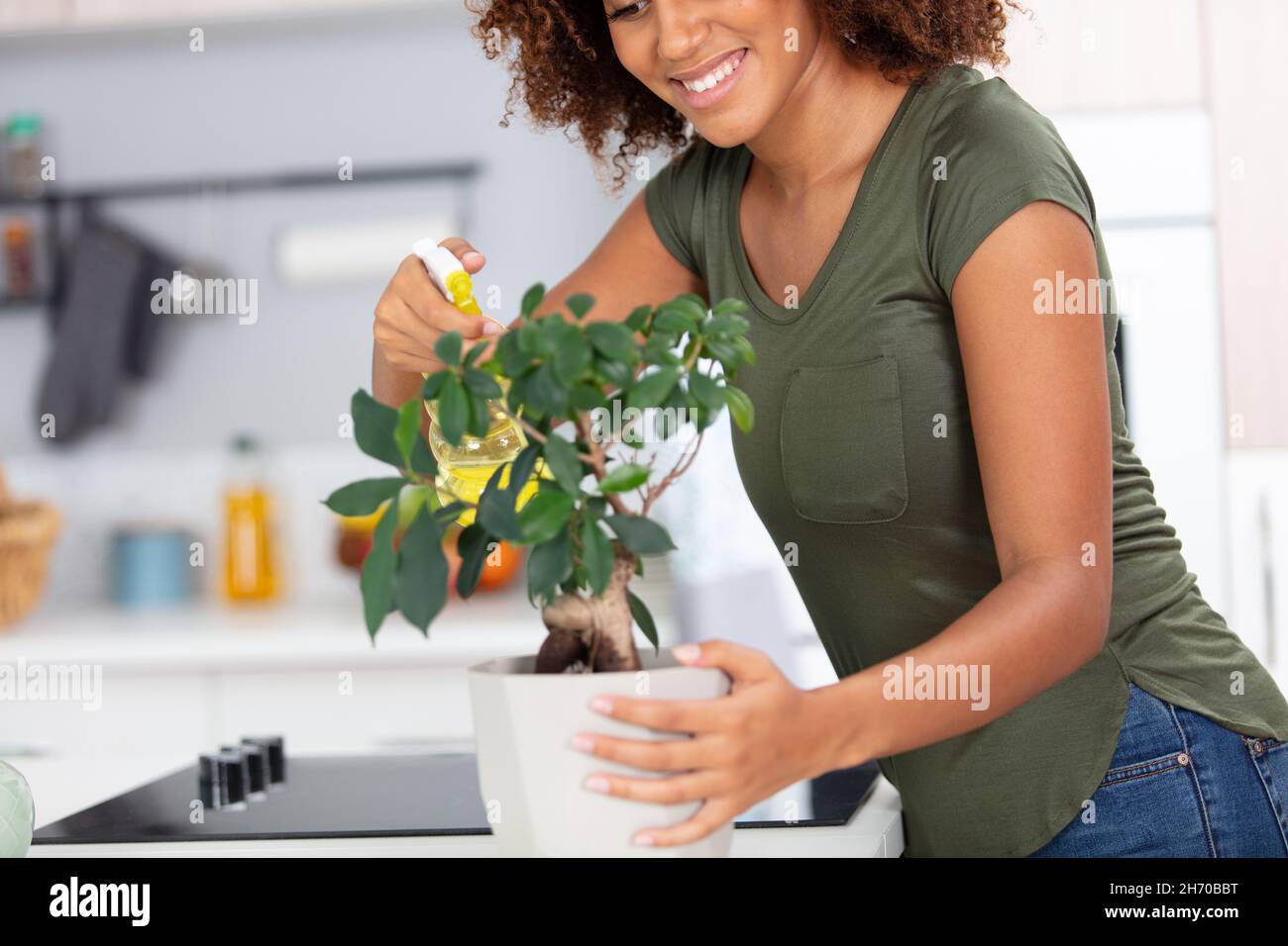 cropped view of woman spraying a houseplant Stock Photo