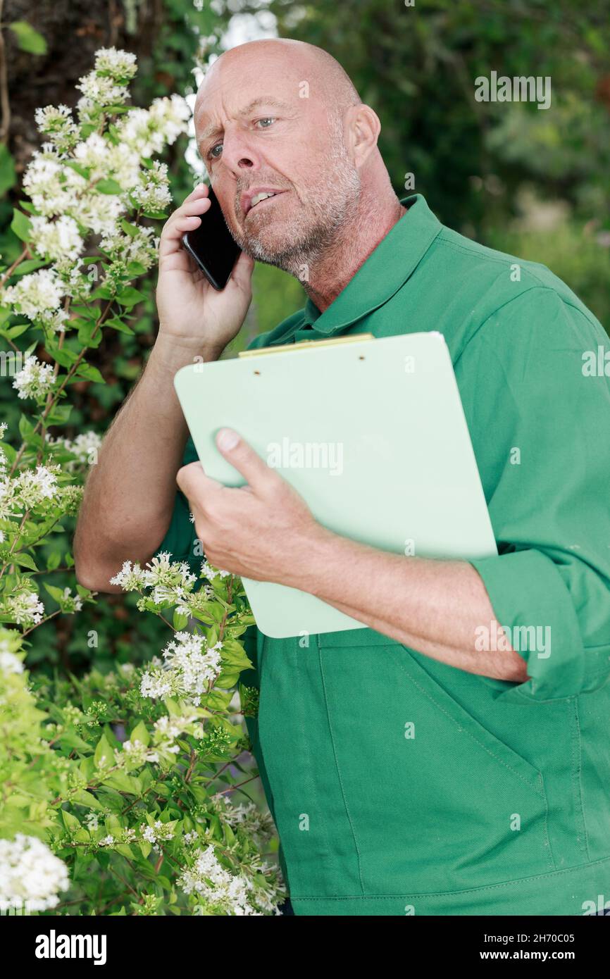 mature man using phone in the garden Stock Photo