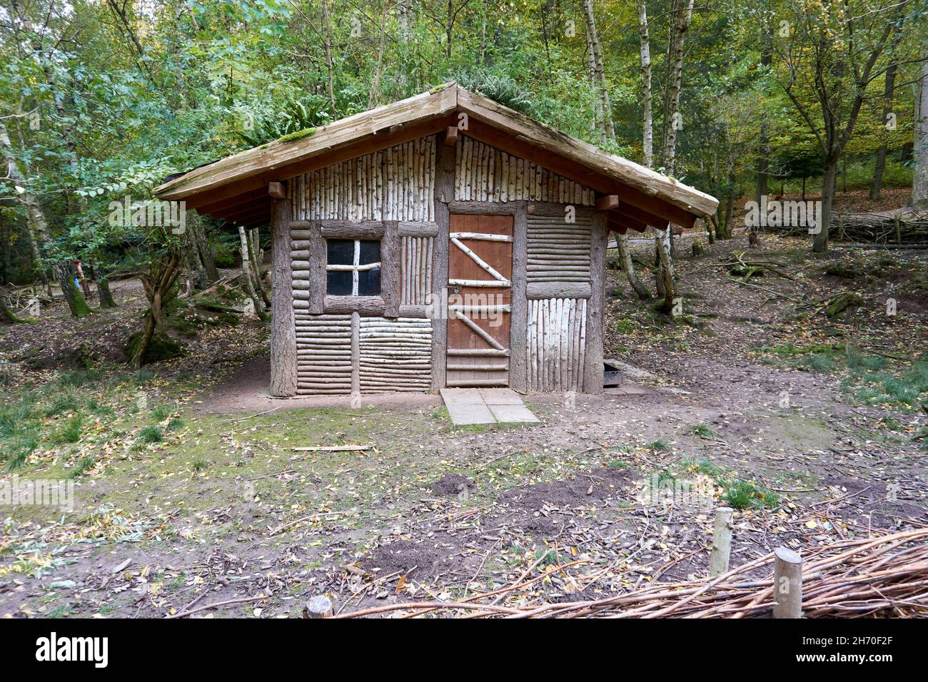 Small wooden house in the middle of the forest Stock Photo - Alamy