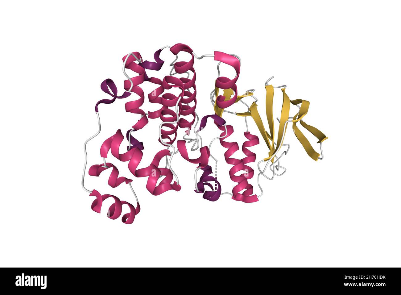 Structure of p38alpha mitogenactivated protein kinase. 3D cartoon