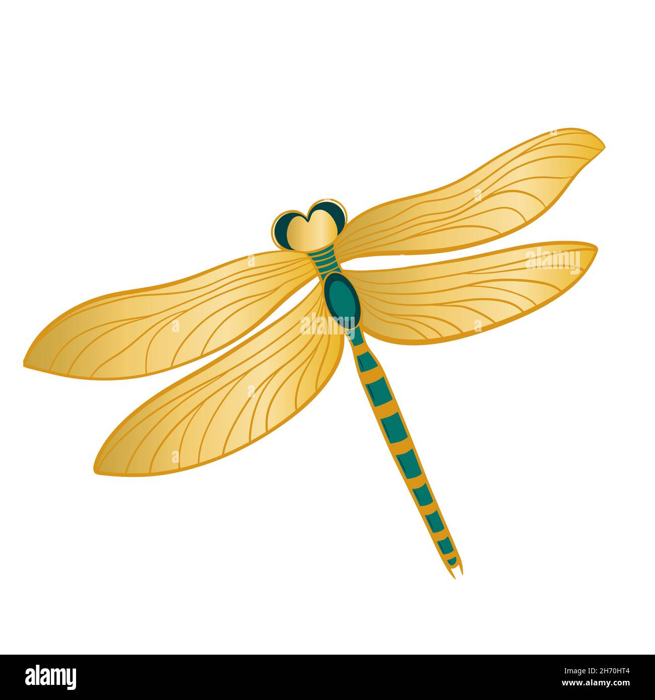 Dragonfly with golden wings, isolated object. Beautiful flying insect