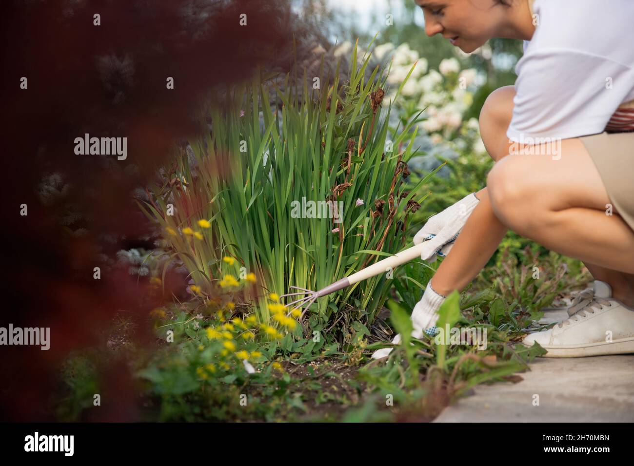 Woman works with mini rake in garden, removes weeds, cuts through plants and flowers. Stock Photo