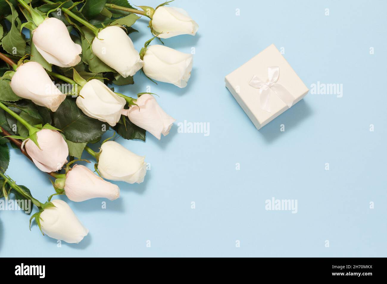 Gift box with beautiful white roses on the blue background. Concept of giving a gift on holidays. Top view. Stock Photo