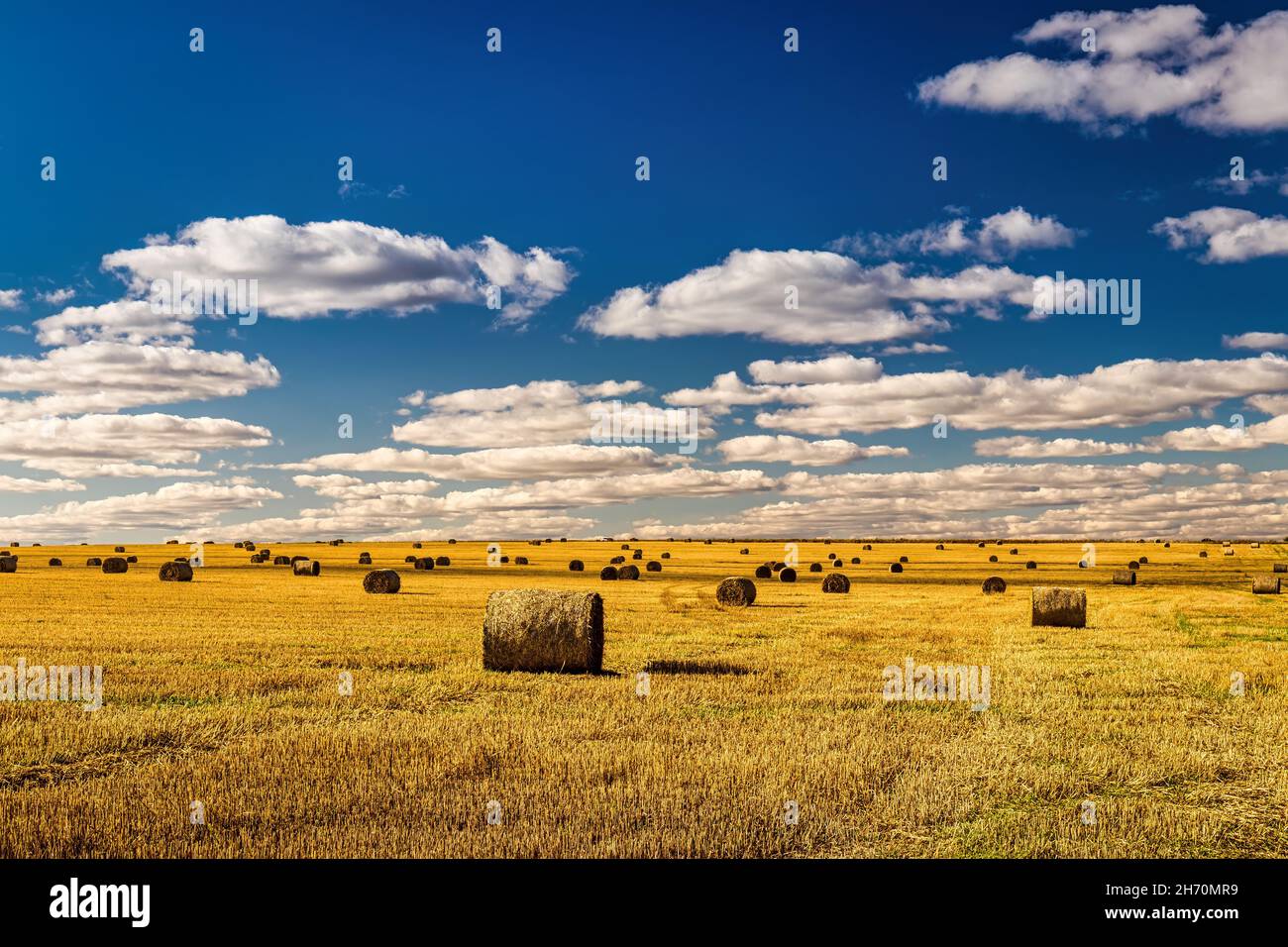 Scene with haystacks on the field in autumn sunny day. Rural landscape ...