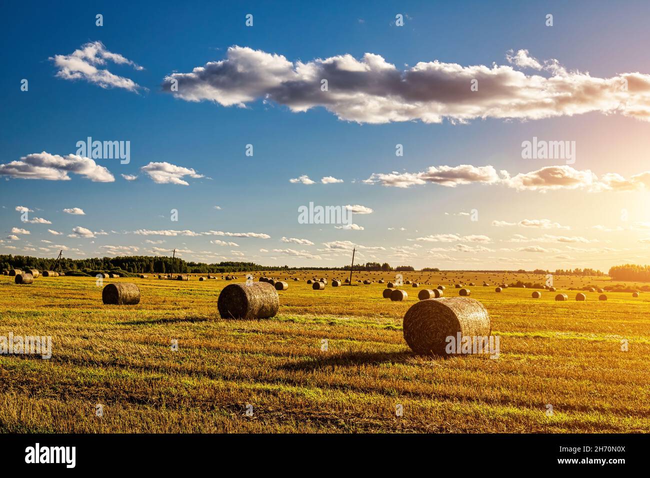 Scene with haystacks on the field in autumn sunny day. Rural landscape ...
