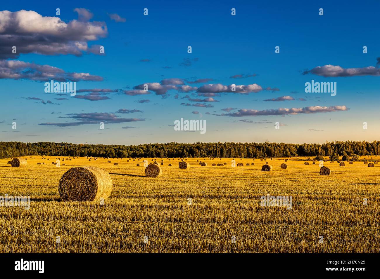 Scene with haystacks on the field in autumn sunny day. Rural landscape ...
