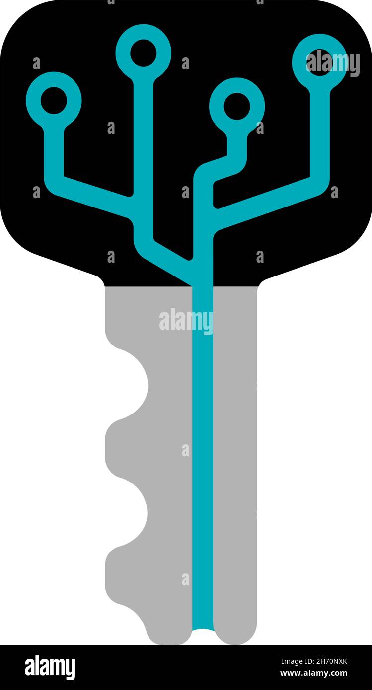 Digital key, smart key vector icon illustration Stock Vector Image