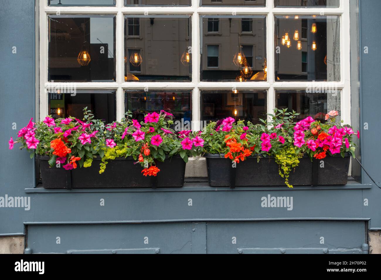Decorative Window Box With Flowers On A Historic Building Window Ledge
