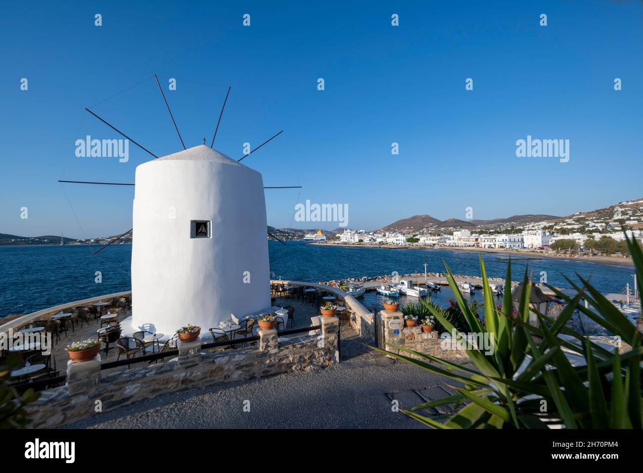 The Traditional Windmills Of Paros The Traditionally Whitewashed the-traditional-windmills-of-paros-the-traditionally-whitewashed