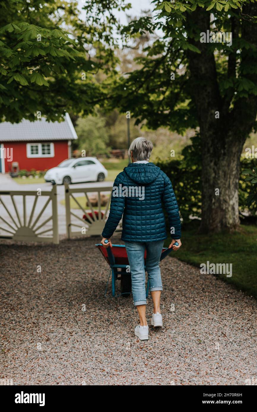 Rear view of woman pushing wheelbarrow Stock Photo - Alamy