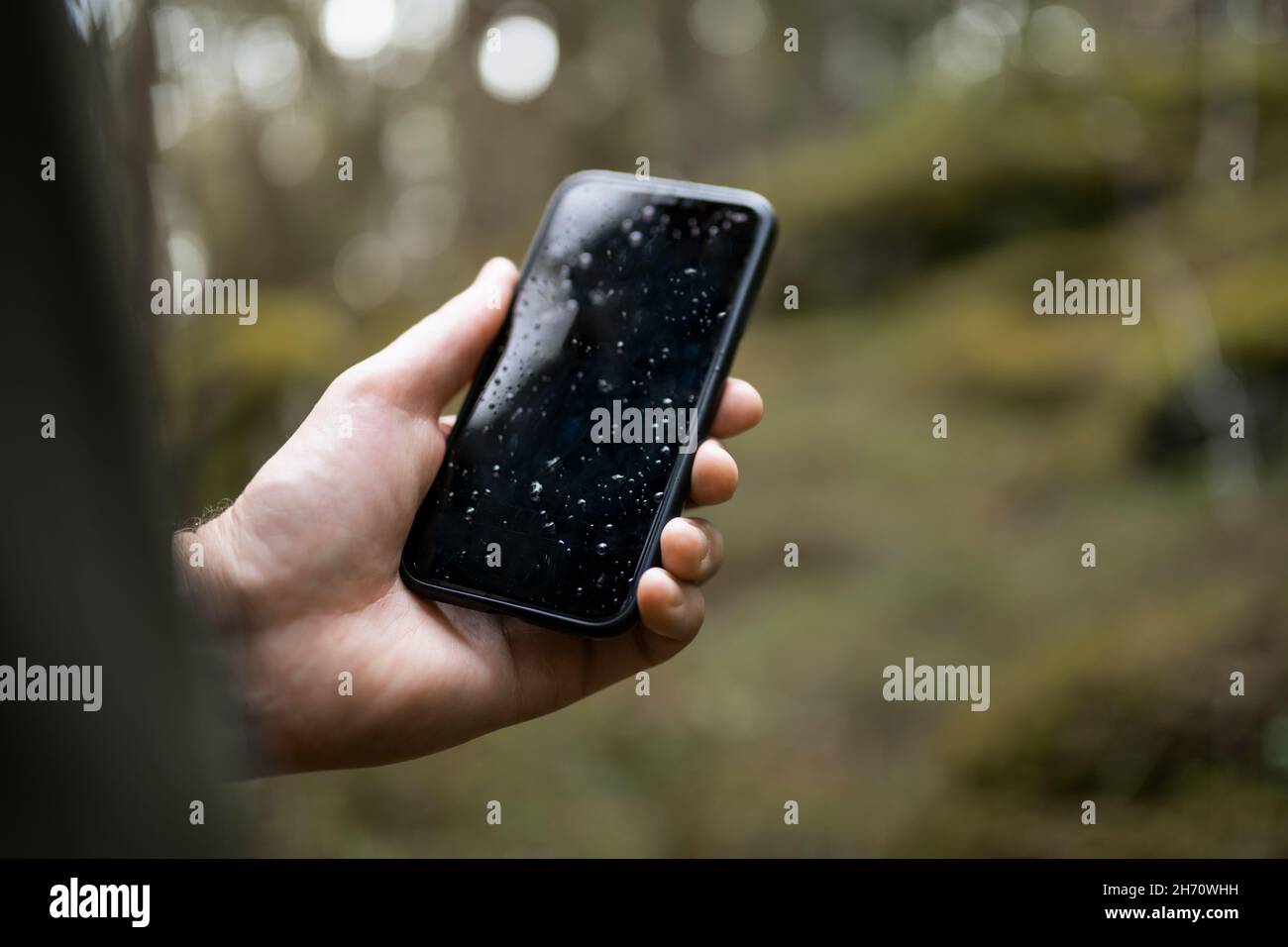 Hand holding wet smart phone in forest Stock Photo
