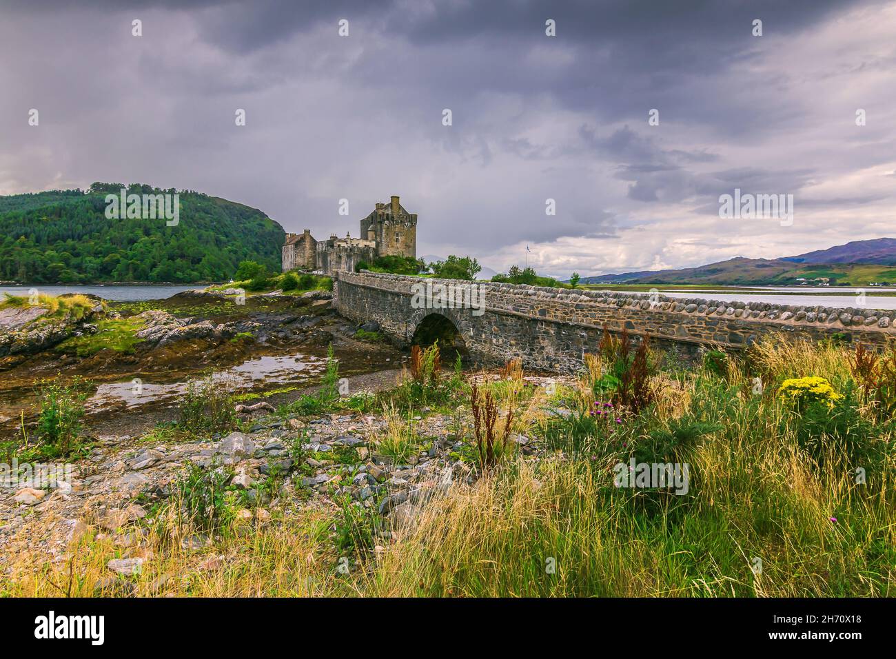Eilean Donan Castle in Scotland with the historic stone bridge for pedestrians during the day when the water is low. Bushes and stones with algae in t Stock Photo