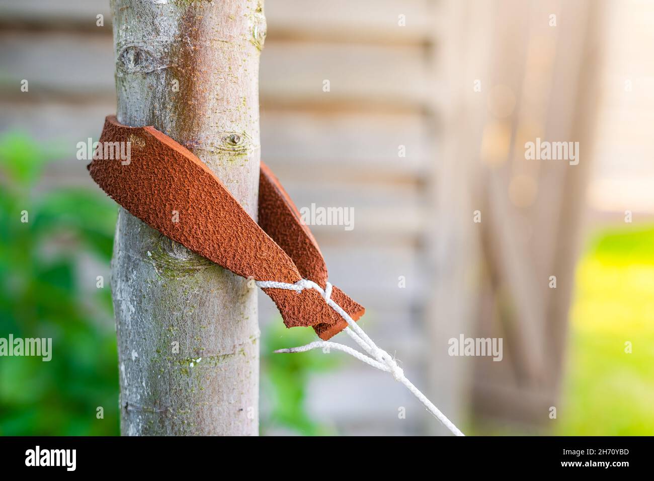 Tied tree hires stock photography and images Alamy