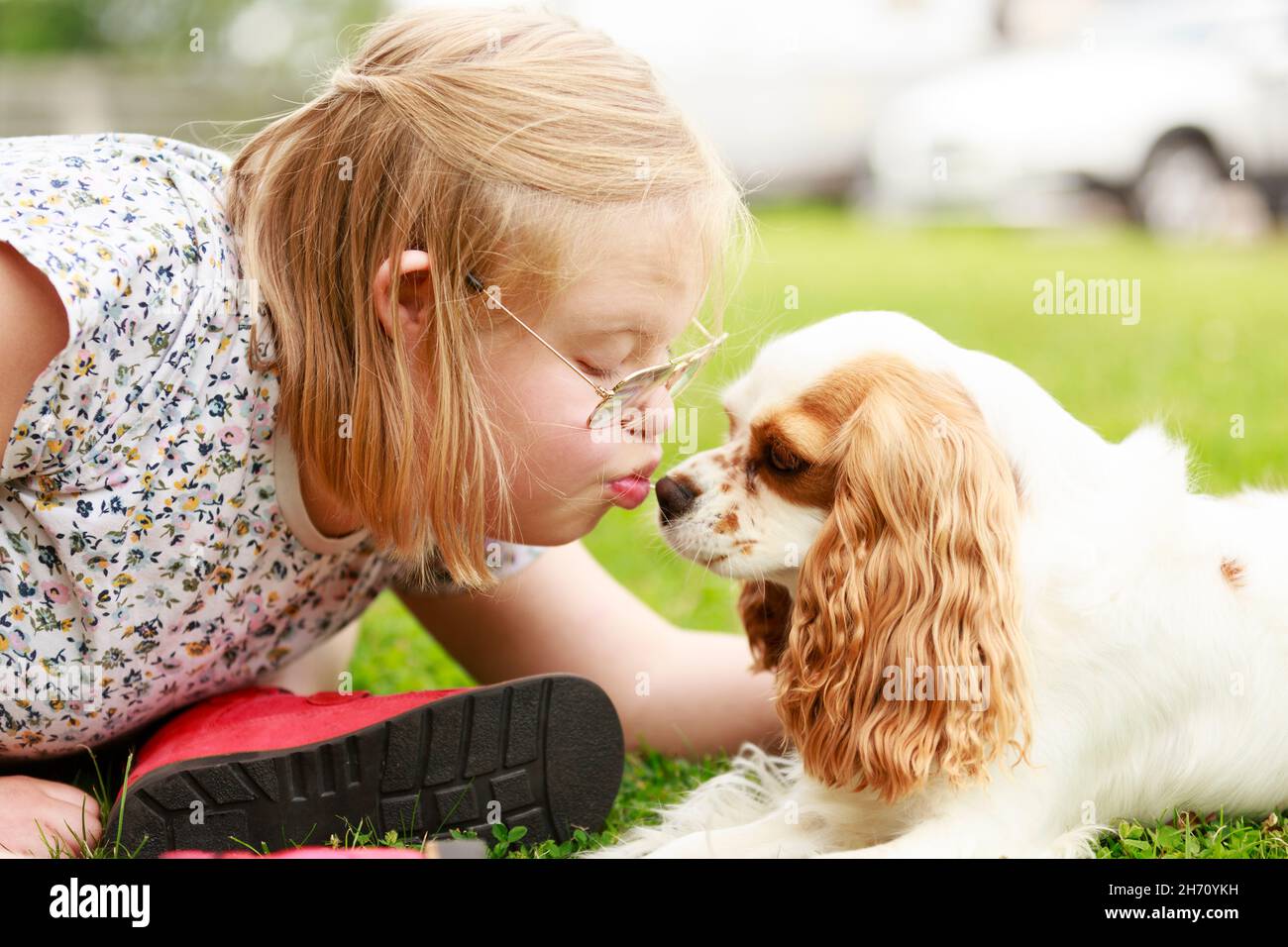 Do Dogs Like To Be Kissed On The Nose