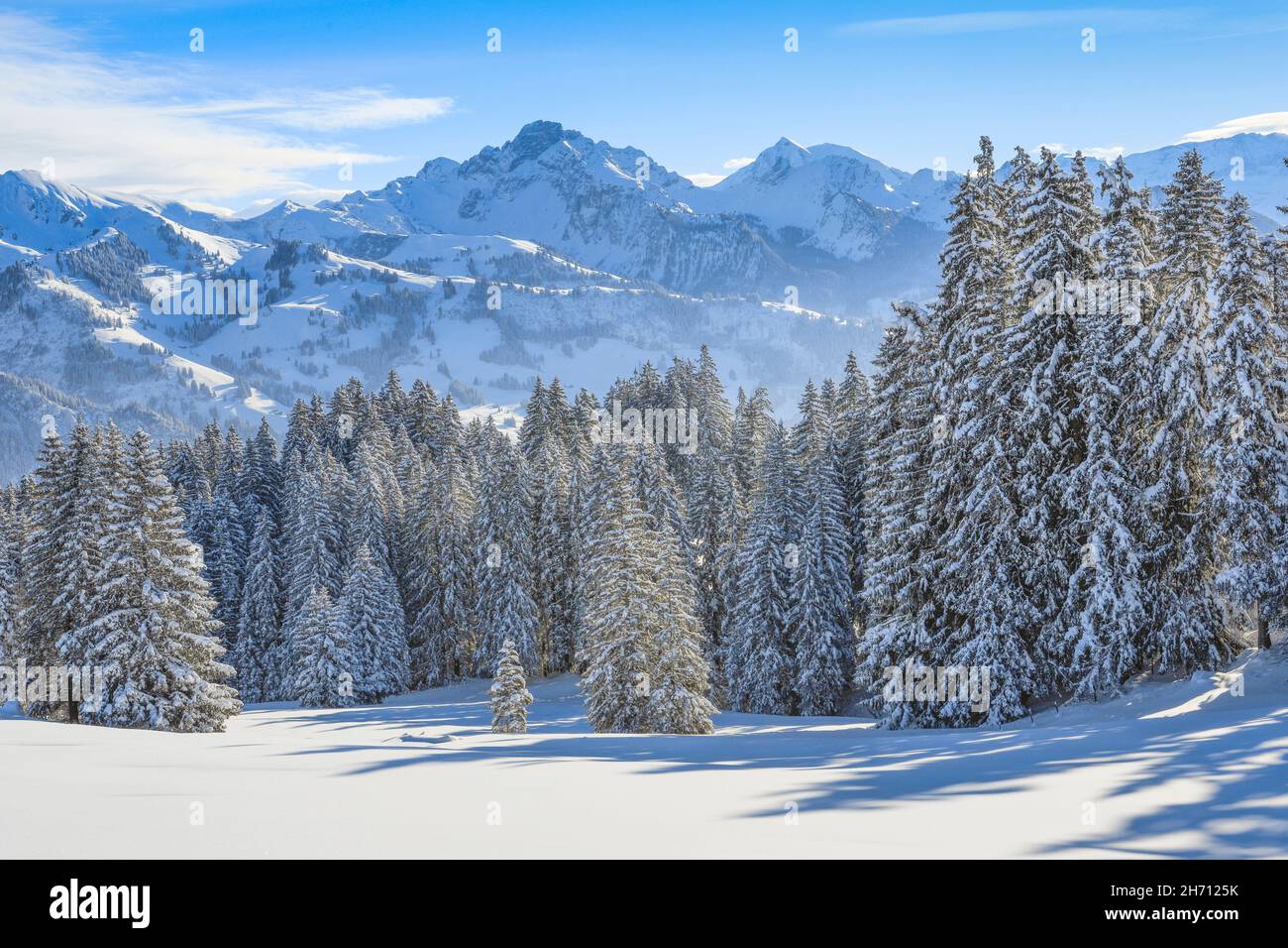 View from the mountain pass Jaunpass in winter. Switzerland Stock Photo