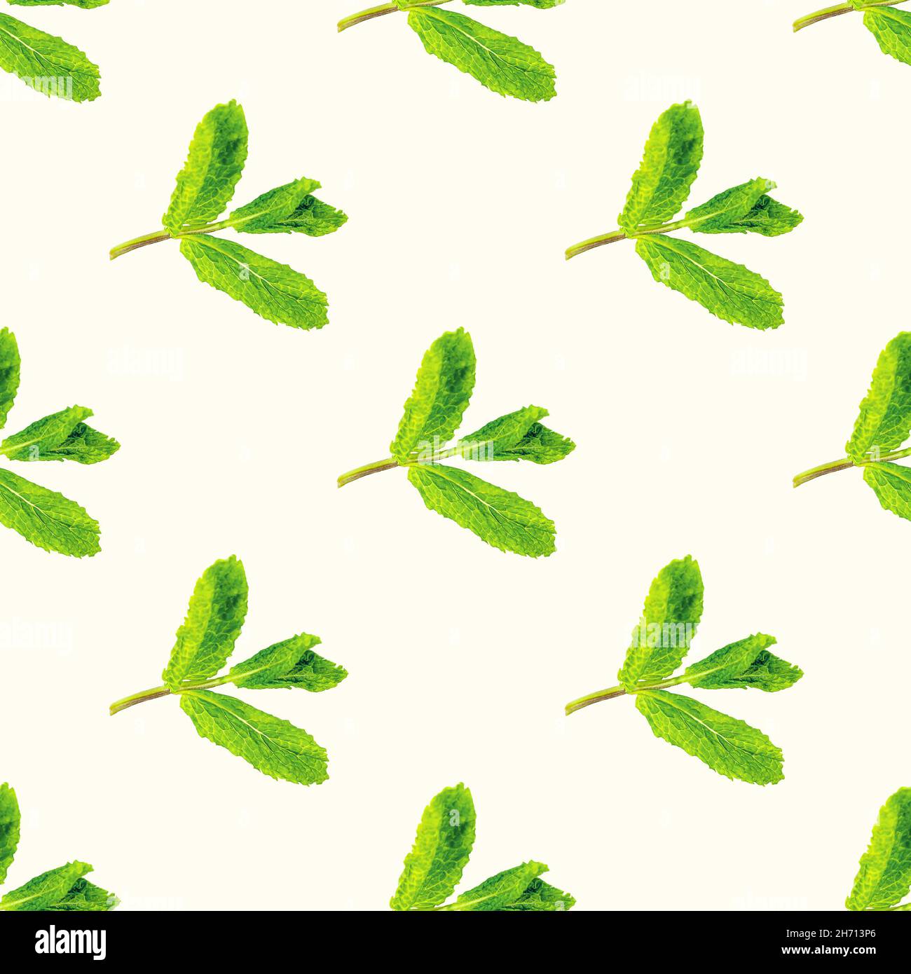 https://c8.alamy.com/comp/2H713P6/fresh-green-mint-peppermint-spearmint-branch-with-leaves-repeat-seamless-pattern-on-light-background-2H713P6.jpg