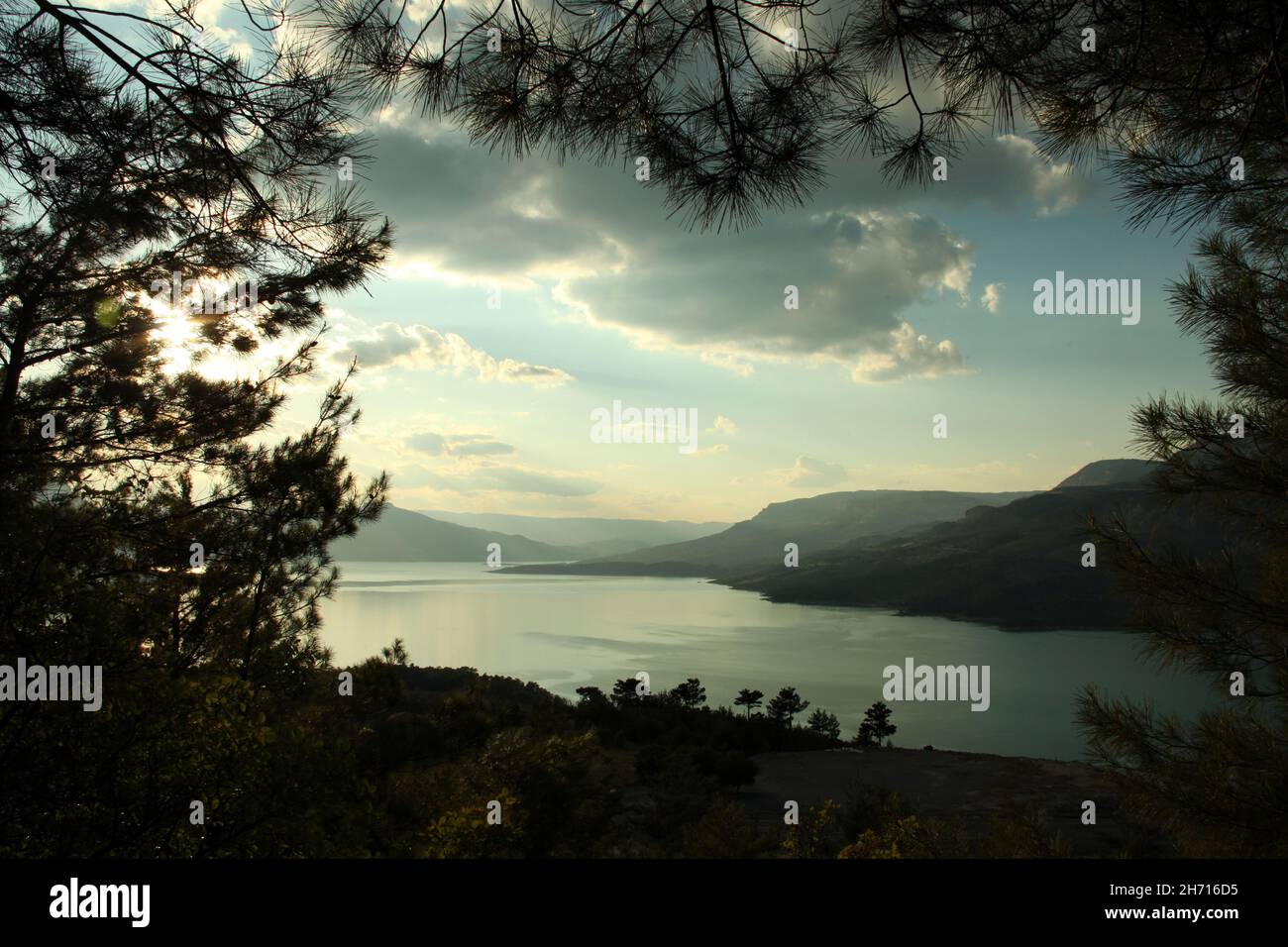 lake view through pine trees Stock Photo - Alamy