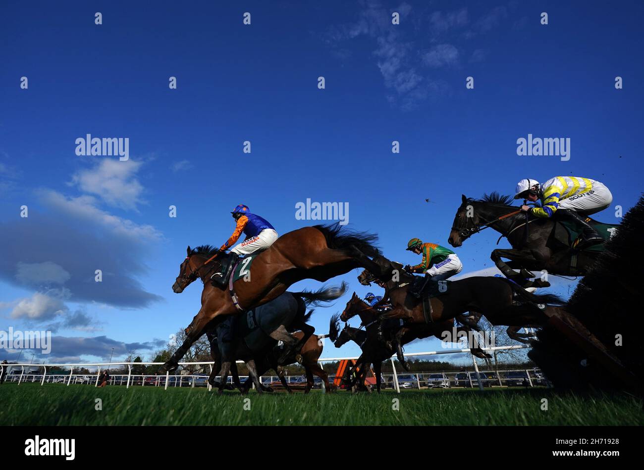 Ivynator and Jack Quinlan (left) in action during the Gaspara Asset Management Juvenile Hurdle at Catterick Racecourse. Picture date: Friday November 19, 2021. Stock Photo