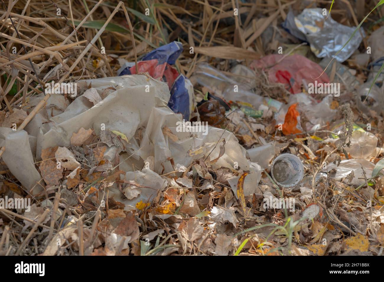 Discarded plastic bottles and other garbage in a meadow in the shore zone Stock Photo