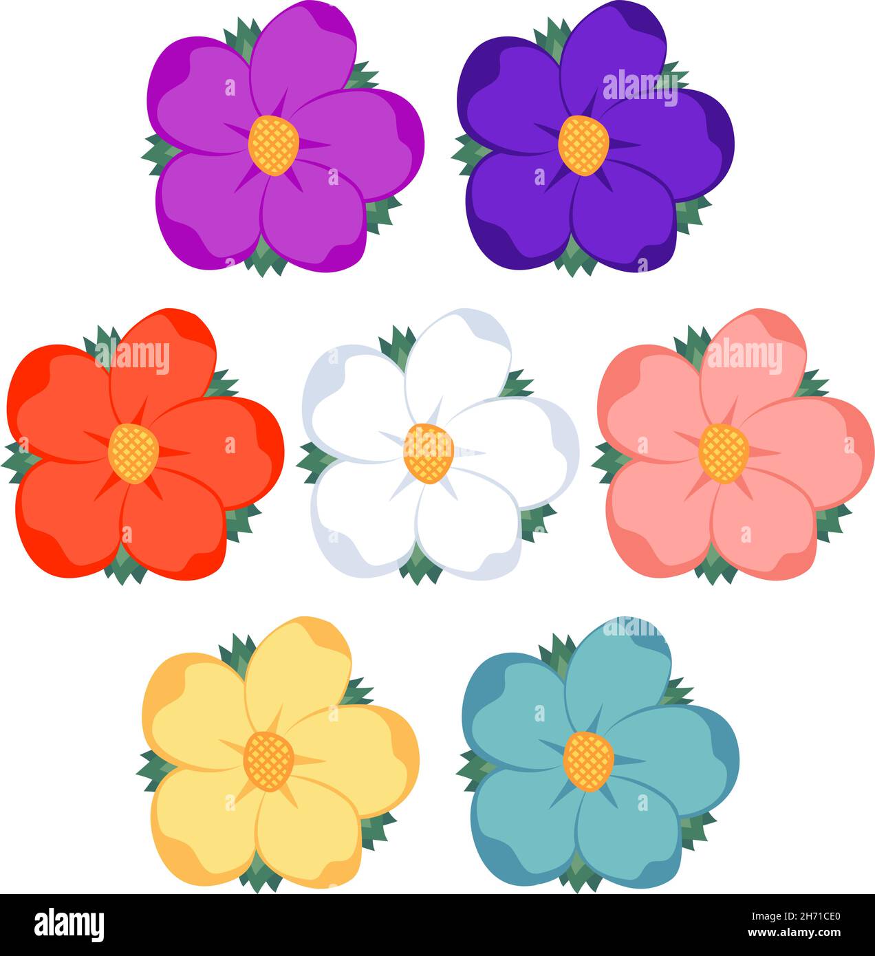 Colorful cartoon daisy flower set on white background. Vector