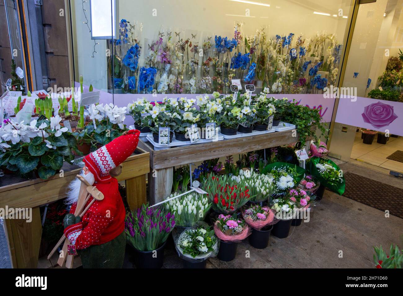 Flower shop in Luxemburg city, Luxemburg Stock Photo Alamy