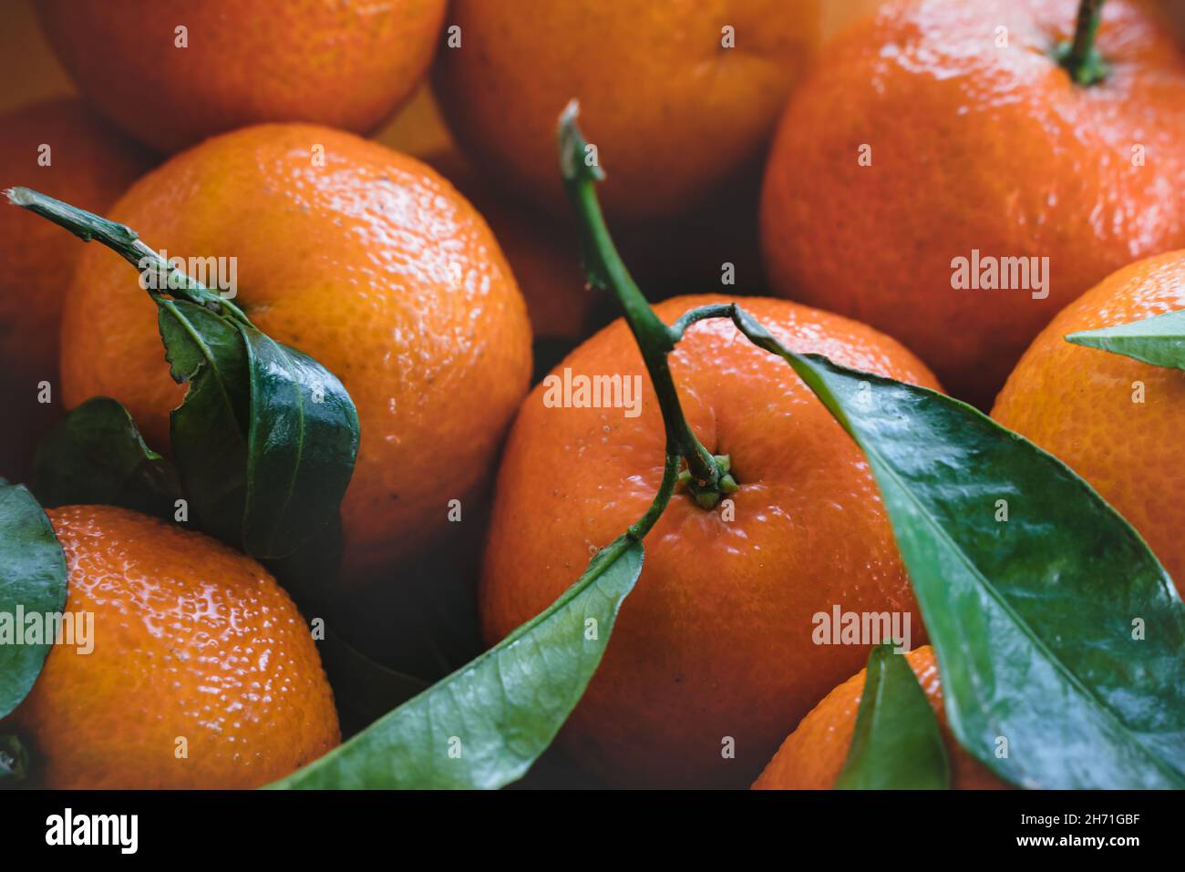 Clementine skin up close fruit hi-res stock photography and images - Alamy