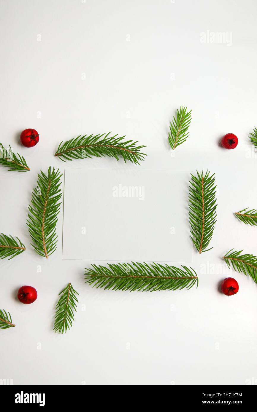 Frame of fir branch or spruce branch and red berries isolated on white ...