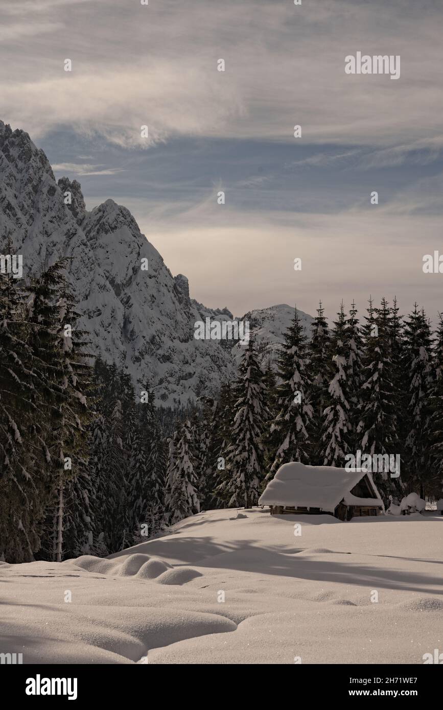 Small wooden hut in a fir forest in the mountains covered with snow ...