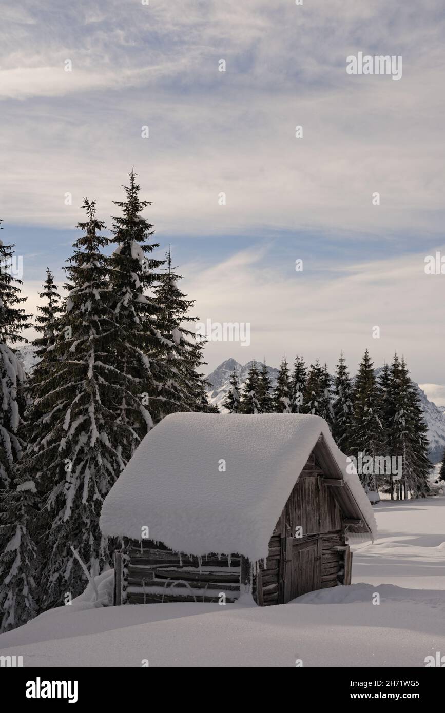 Small wooden hut in a fir forest in the mountains covered with snow ...