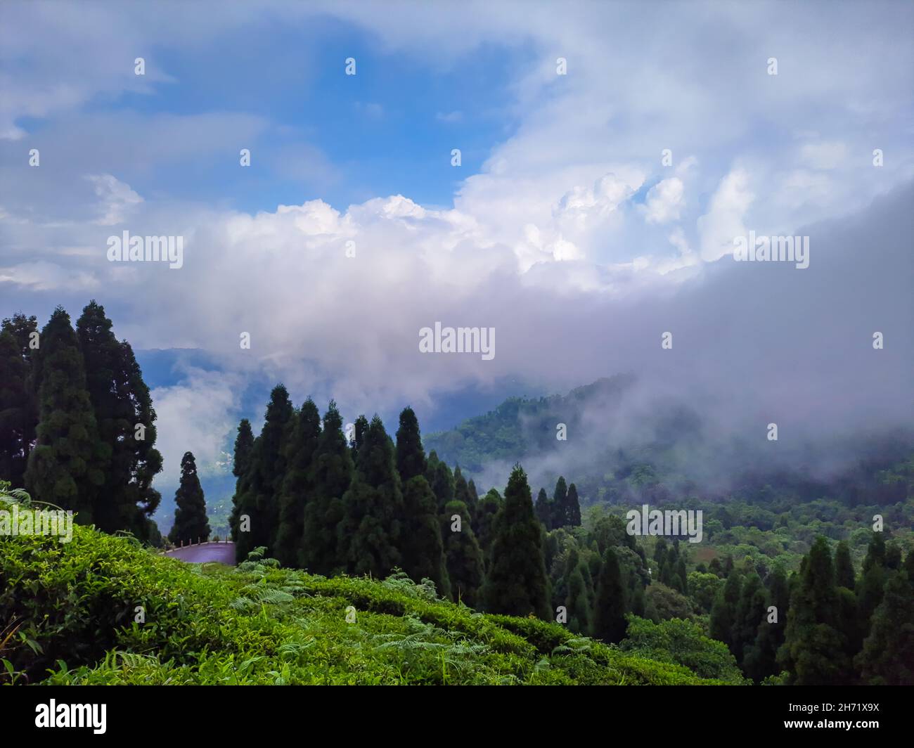 green mountain valley with blue sky and heavy cloud at morning image is taken at darjeeling west bengal india. Stock Photo