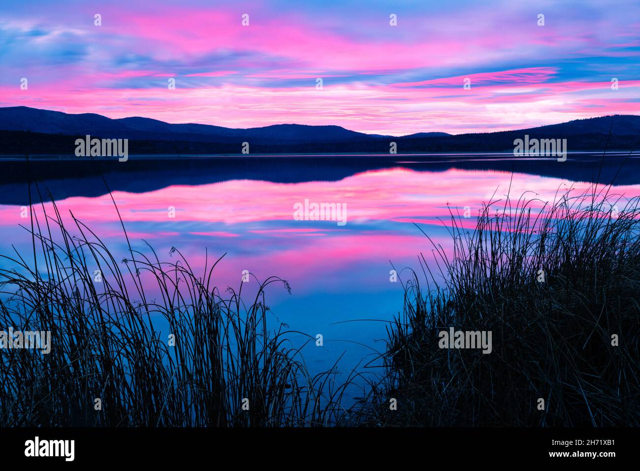 Blue hour/sunrise image from Eagle Lake in Lassen County, California, USA.  Features reeds, reflections and silhouetted mountains. Stock Photo