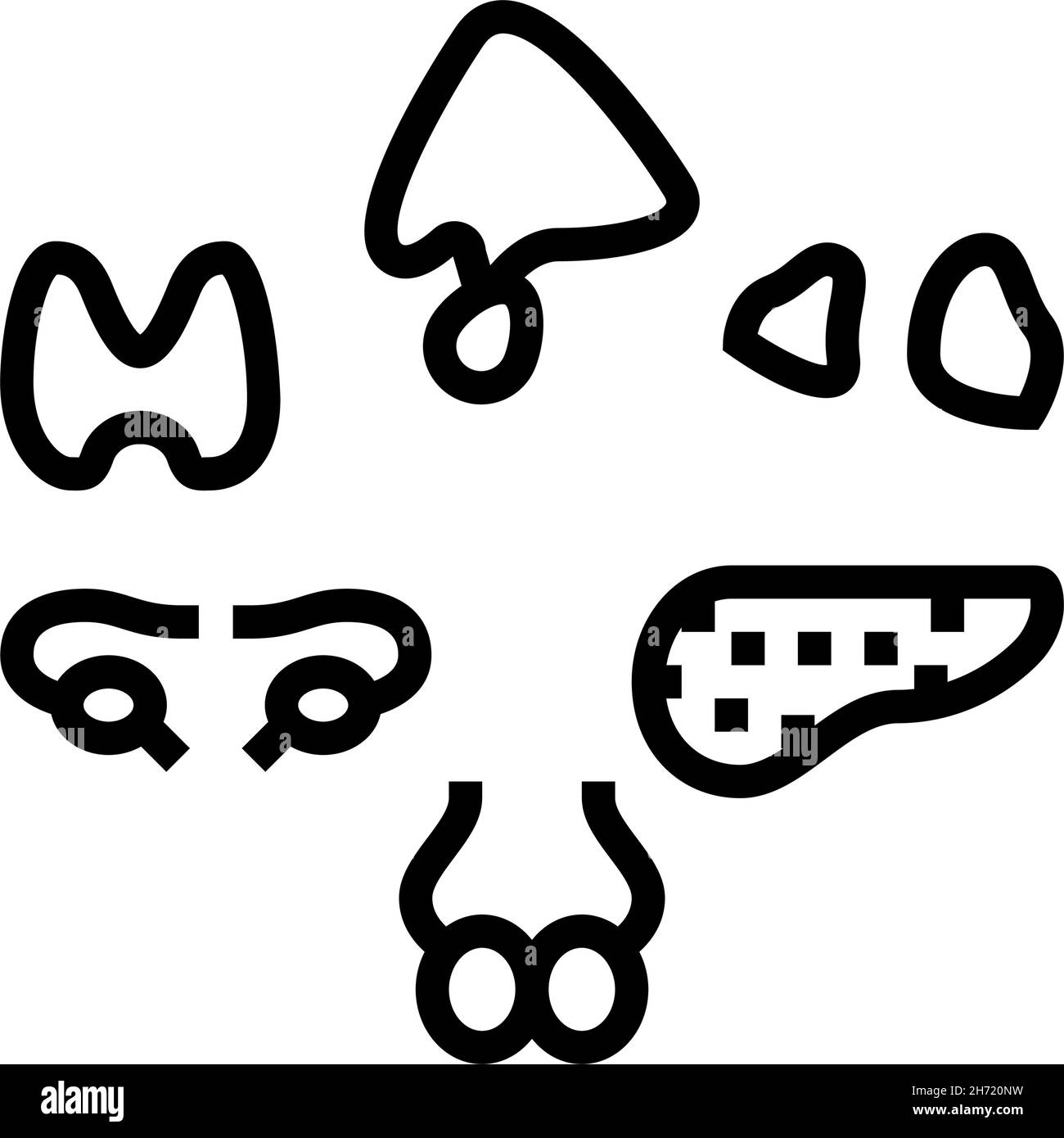 gland human organ line icon vector illustration Stock Vector Image ...