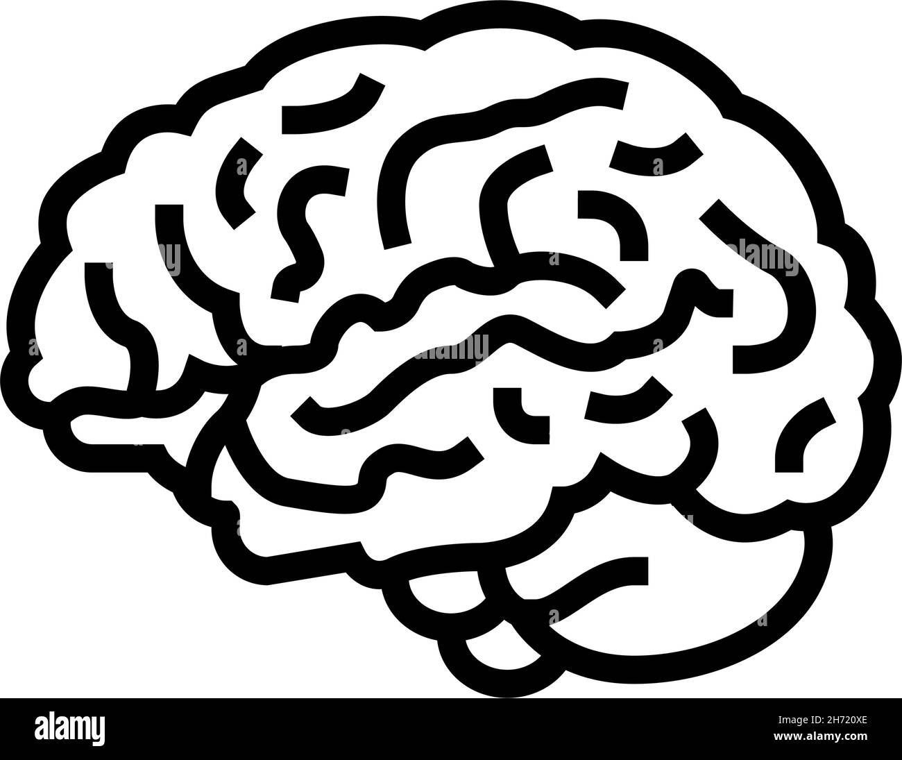brain anatomy organ line icon vector illustration Stock Vector Image ...