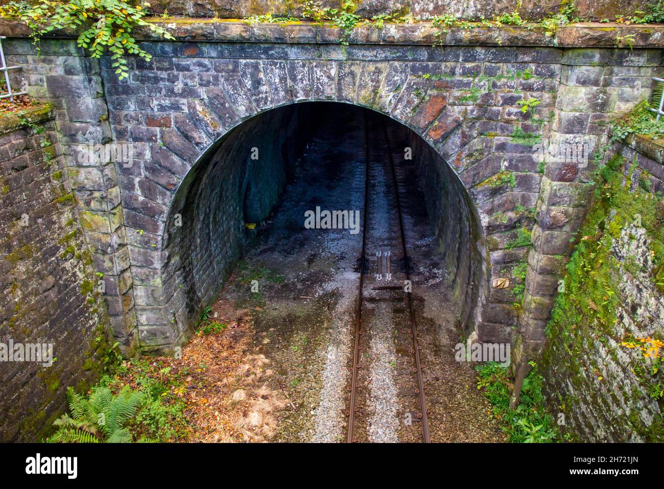 Entrance to a tunnel near Cromford on the single track Matlock to Derby railway line in the Derbyshire Peak District England UK. Stock Photo