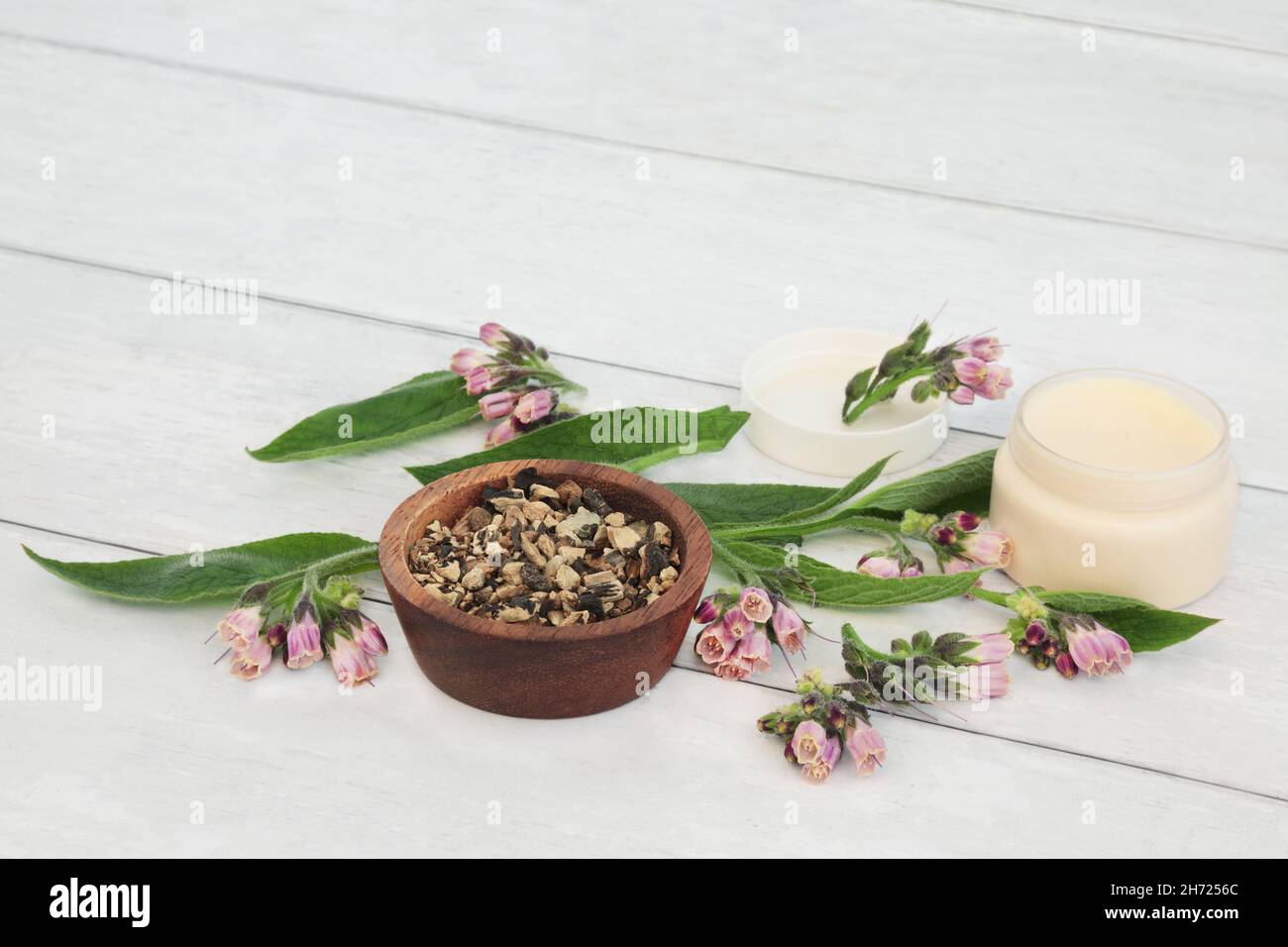 Comfrey healing herb ointment used in herbal medicine. Treats skin