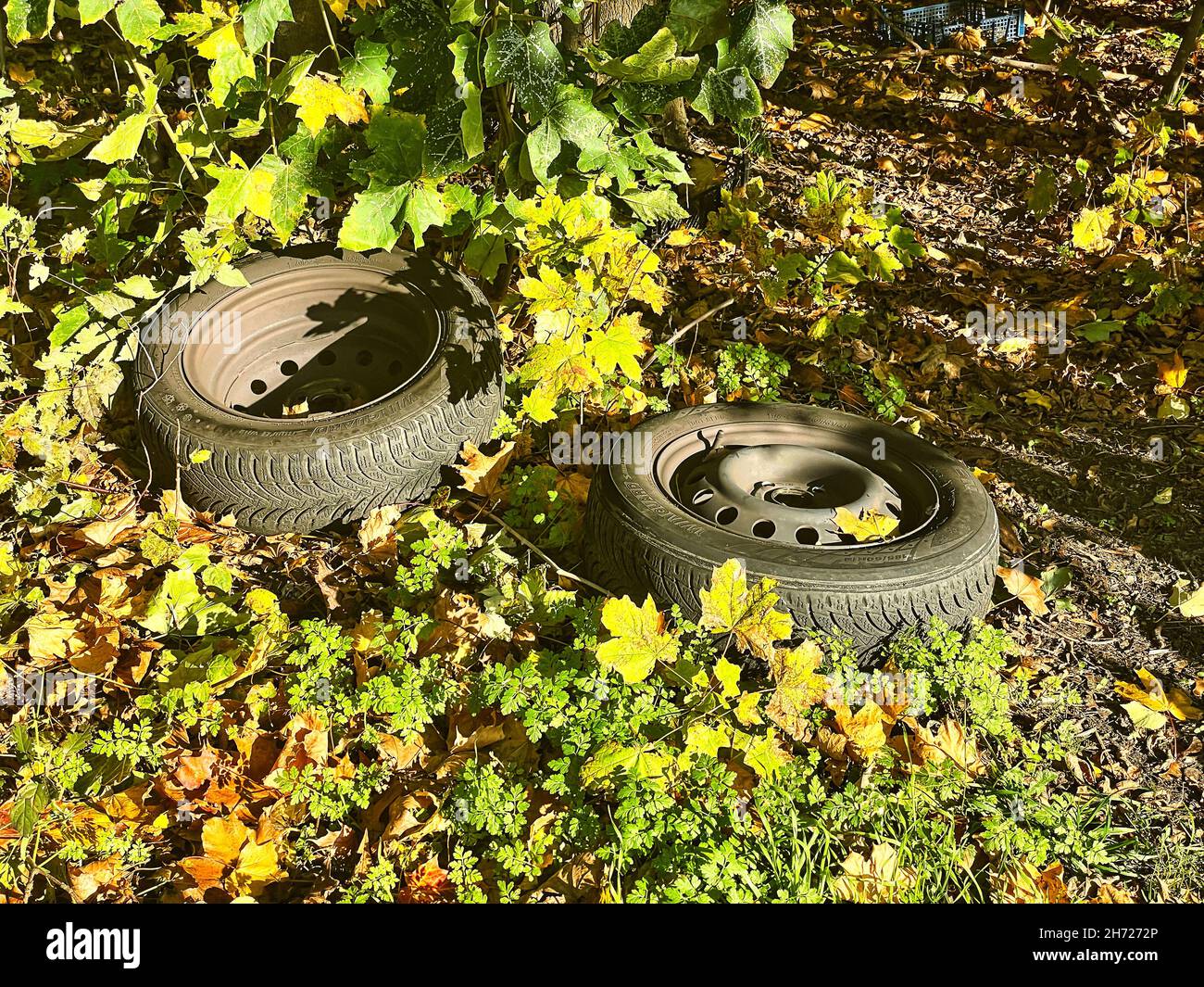 Closeup of old tires in the foliage. Illegal disposal of car tires with