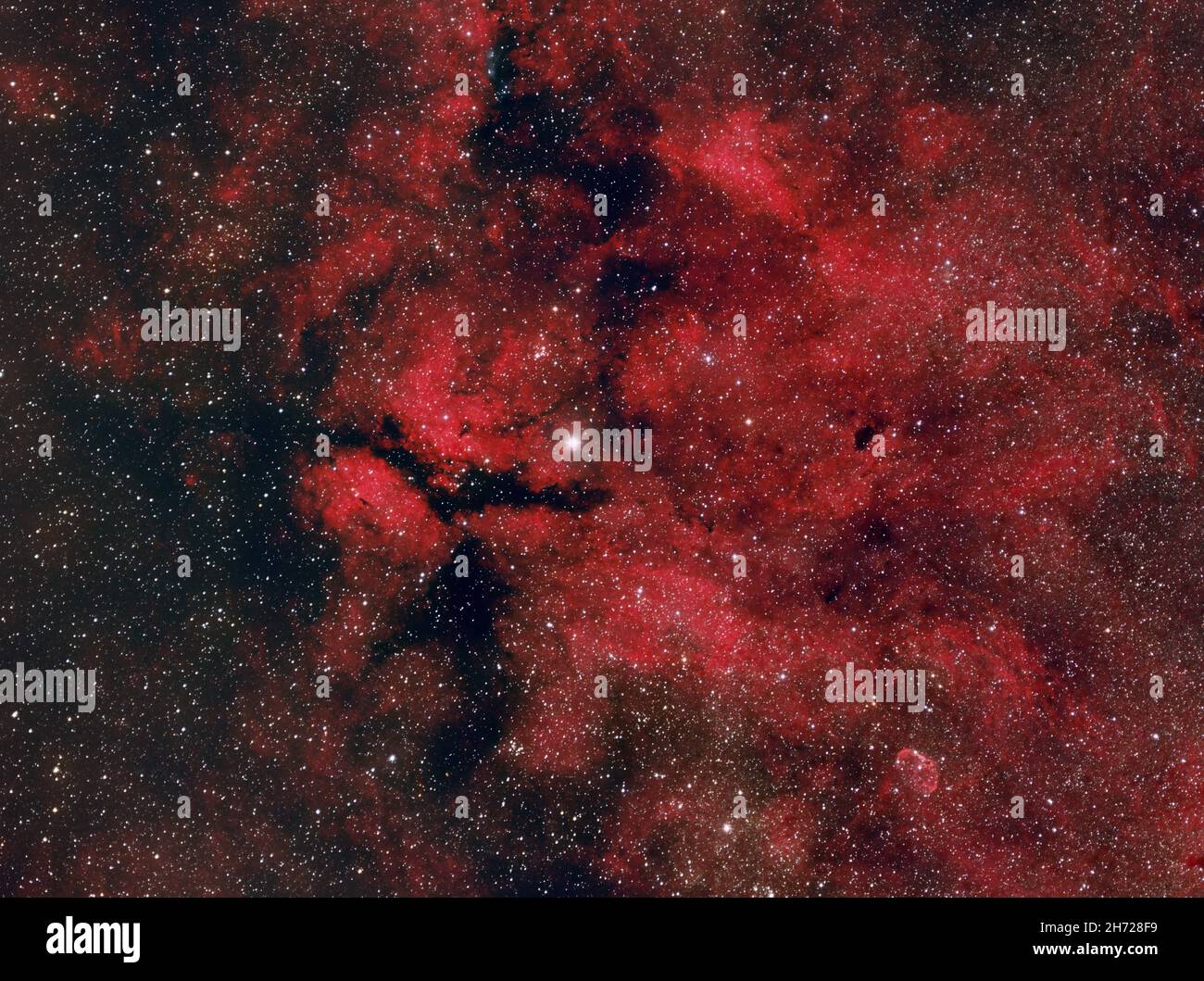 Sadr region in Cygnus constellation Stock Photo