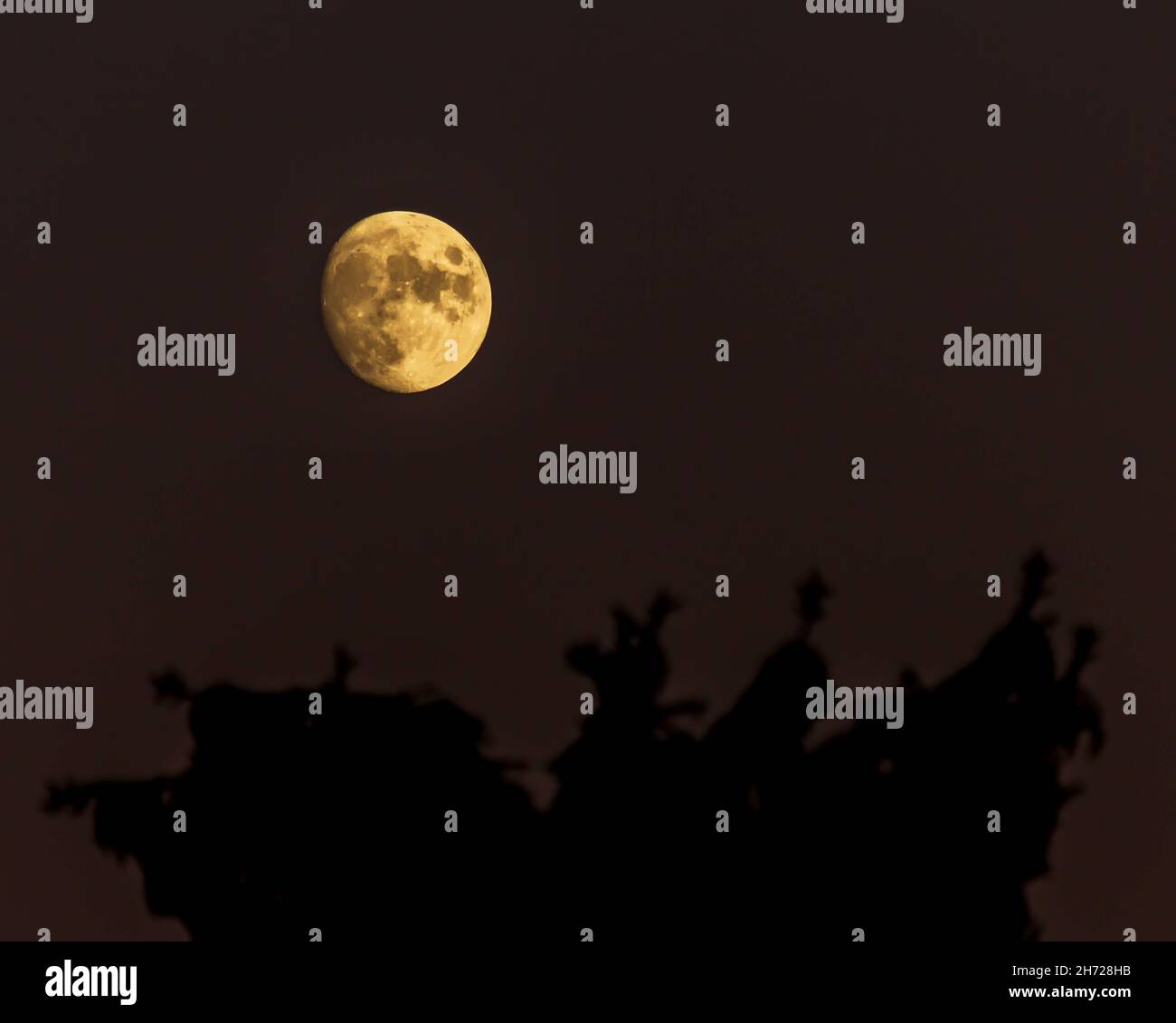 Full moon in the night sky Stock Photo - Alamy