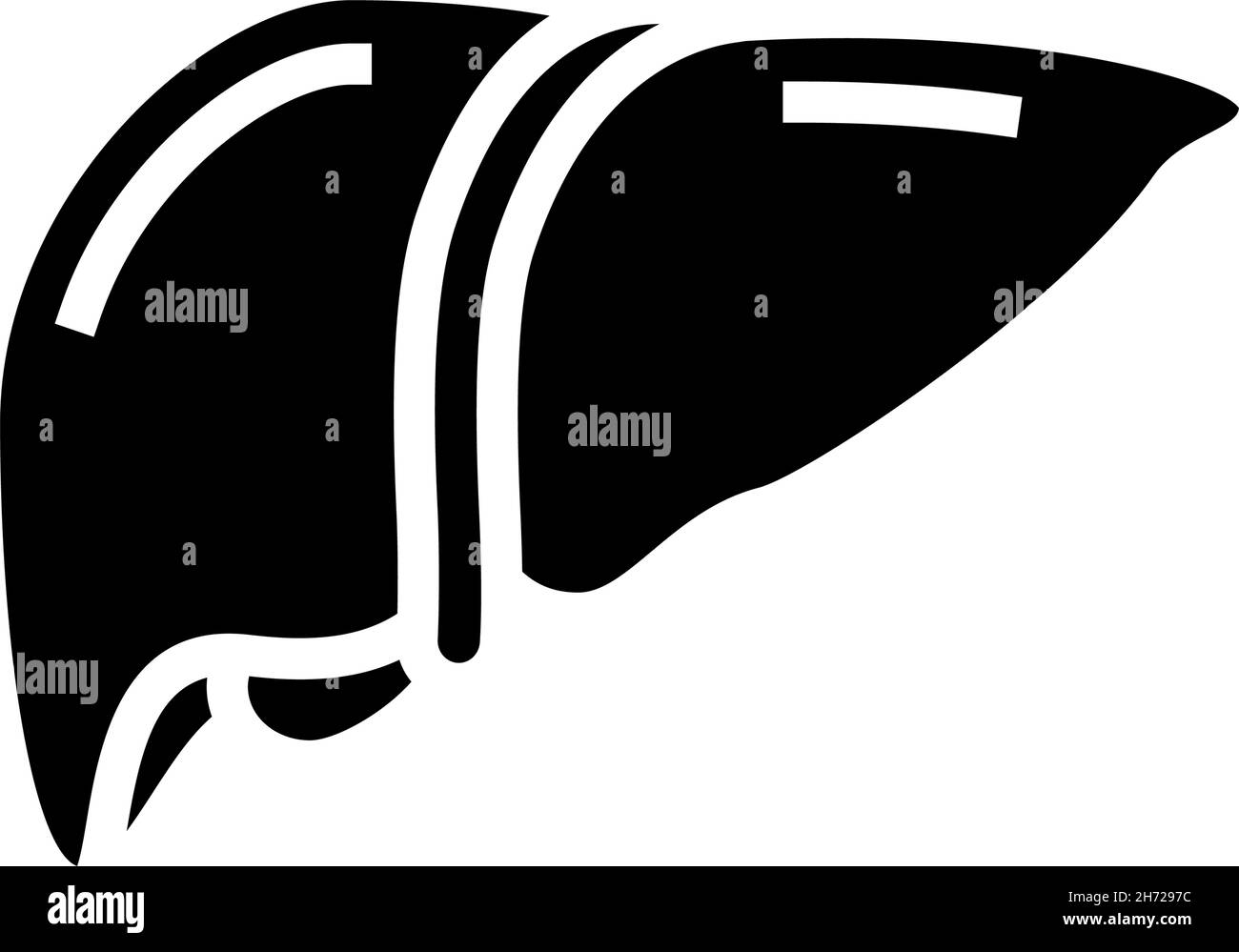 liver human organ glyph icon vector illustration Stock Vector Image ...