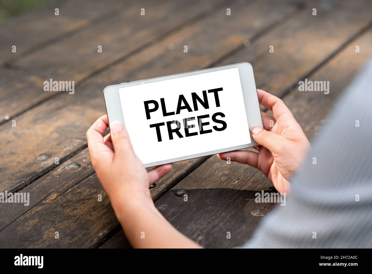 Text sign showing Plant Trees. Concept meaning process of planting a