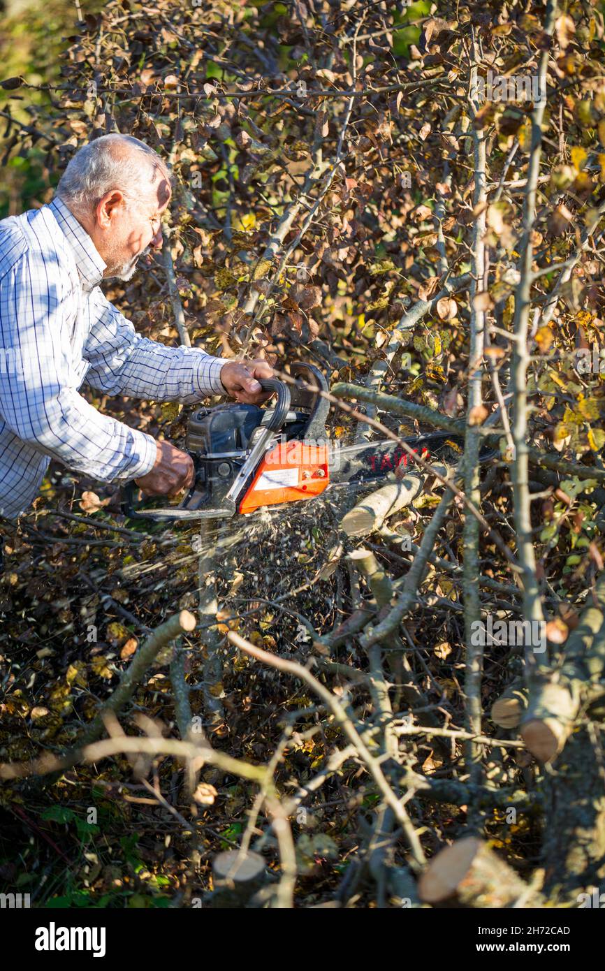 Figure of a man cutting trees and bushes with a petrol chainsaw to