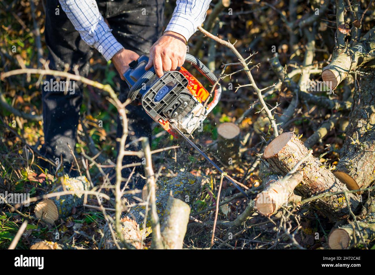 Figure of a man cutting trees and bushes with a petrol chainsaw to ...