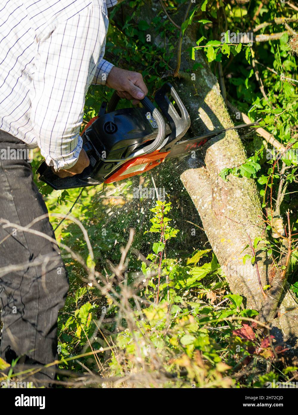 Figure of a man cutting trees and bushes with a petrol chainsaw to