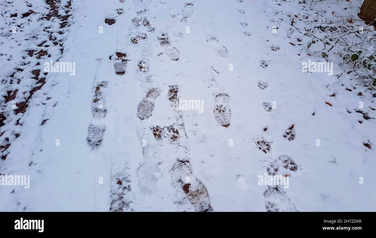 Wintrer mit Eis und Schnee, verschneite Bäume und Reif Stock Photo