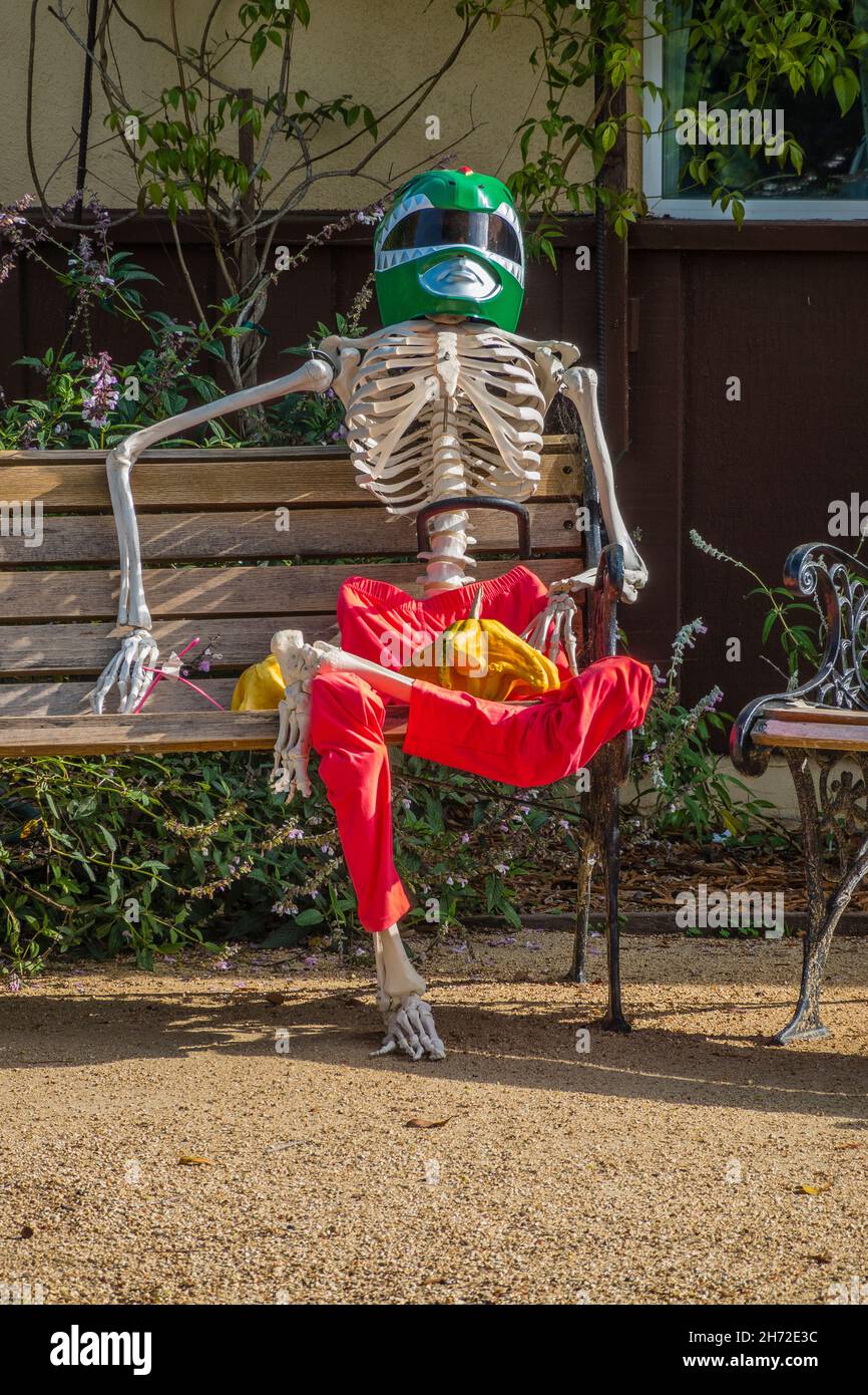 A halloween skeleton dressed up for Halloween Stock Photo