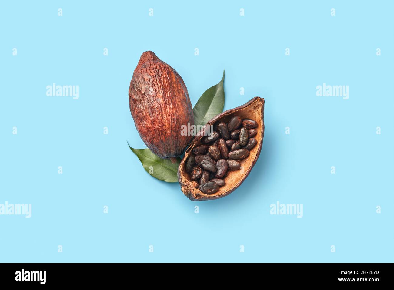 Bitter cocoa beans in pod Stock Photo Alamy