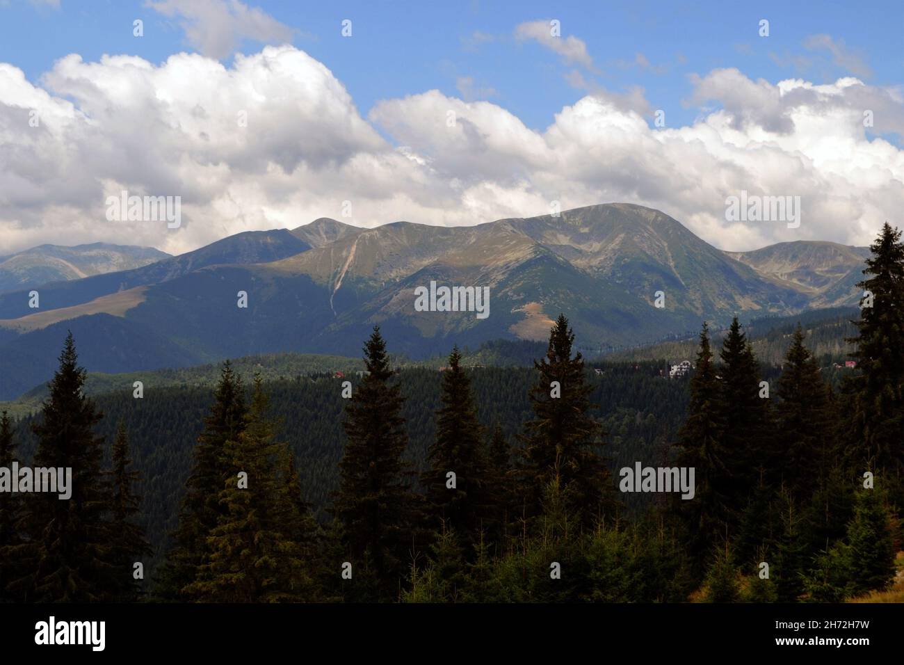 Panorama of the Parang mountains from the Southern Carpathians, the mountain group Parâng - Șureanu - Lotrului, being the largest in terms of the moun Stock Photo